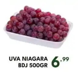 Rede Plus Supermercados uva niagara oferta