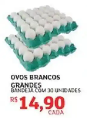 Ovos brancos grandes