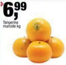 Frangolândia Tangerina murcote oferta