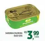 DB Supermercados Palmeira - sardinha óleo oferta