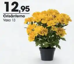 Zaffari Crisântemo oferta