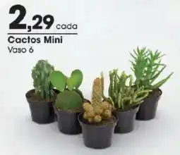 Zaffari Cactos Mini oferta