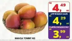 Roldão manga tommy kg oferta