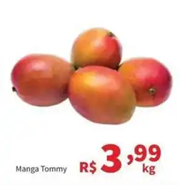 Macromix Atacado Manga Tommy oferta