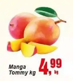 Negreiros Manga Tommy kg oferta