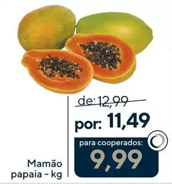 Mamão papaia - kg