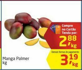 Tenda Atacado Manga palmer kg oferta