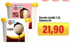 Spani Atacadista Sorvete Jundia Sabores Un oferta