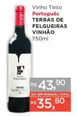 Supermercados Mundial Vinho Tinto Português Terras de Felgueiras Vinhão oferta