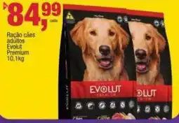 Frangolândia Ração cães adultos evolut premium oferta