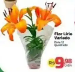 Supermercado Jacomar Flor Lírio Variado oferta