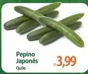 Atacadão Japonês - pepino japonês oferta