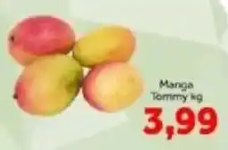 Shibata Supermercados Manga Tommy kg oferta
