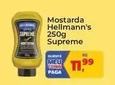 Tonin Superatacado Hellmann's - mostarda 250g oferta