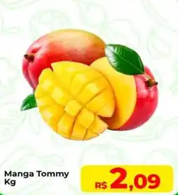 Rebouças Supermercados Manga Tommy oferta
