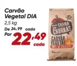 Dia Dia - carvão vegetal oferta