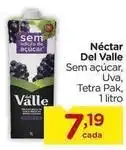 Carrefour Del valle - néctar oferta