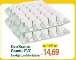 Rs - ovo branco grande pvc