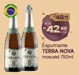 Cometa Supermercados Espumante terra nova moscatel oferta