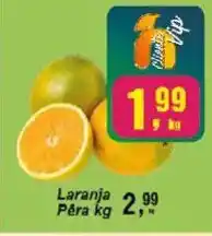 Negreiros Laranja Pêra oferta