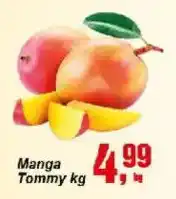 Negreiros Manga tommy oferta