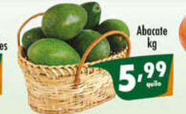 Vencedor Atacadista Abacate 1kg oferta