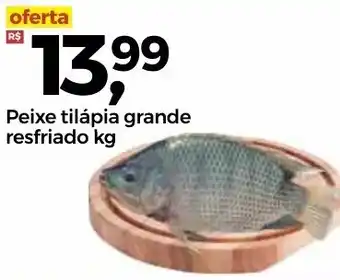 Frangolândia Peixe tilapia grande resfriado 1kg oferta