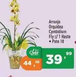 Supermercados Pague Menos Arranjo Orquídea Cymbidium Fly C 1 Haste Pote 18 oferta