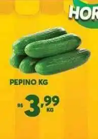 Atacadão Centro Sul Pepino Kg oferta
