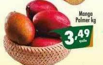 Manga Palmer Kg