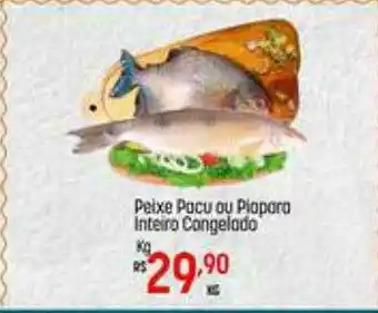 Muffato Peixe Pacu Ou Piapara Inteiro Congelado Kg oferta