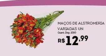 Bistek Supermercados Maços De Alstromeria Variadas Un oferta