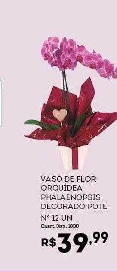 Bistek Supermercados Vaso De Flor Orquídea Phalaenopsis Decorado Pote N° 12 oferta