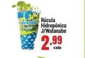 Rúcula Hidropônica J Watanabe