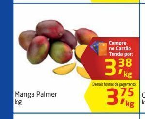 Tenda Atacado Manga palmer kg oferta