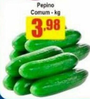 Pepino Comum 1kg
