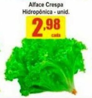 Alface Crespa Hidrop. unid.