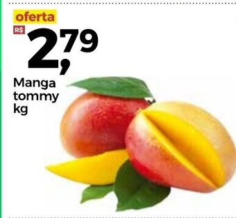 Manga Tommy 1kg