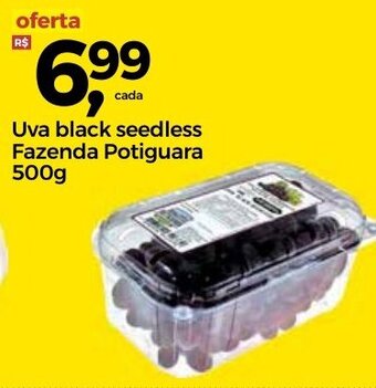 Frangolândia Uva Black Seedless Fazenda Potiguara 500g oferta