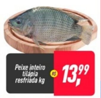 Frangolândia Peixe Inteiro Tilapia resfriada 1kg oferta