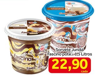 Sorvete Jundia Fascino pote 1.5L