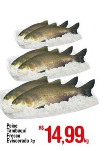 Peixe Tambaqui fresca Eviscerado 1kg