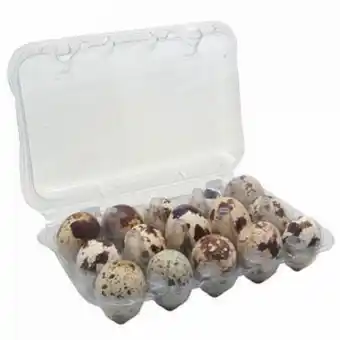 Ovos de codorna com 15 unidades