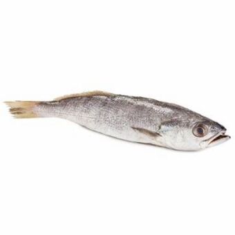 Supermercado Estrela Azul Pescada fresca goete inteiro kg oferta