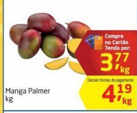 Tenda Atacado Manga palmer kg oferta