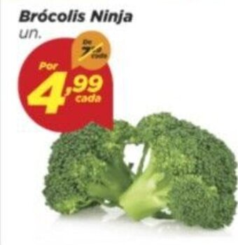 Dia Brocolis Ninja oferta