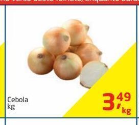 Tenda Atacado Cebola kg oferta