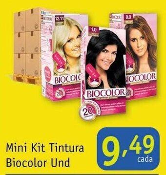Nordestão Mini Kit Tintura Bicolor Und oferta