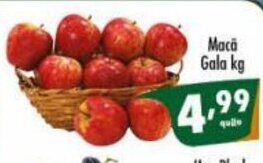 Vencedor Atacadista Maca Gala 1kg oferta
