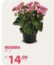 Royal Supermercados Roseira pote 13 oferta